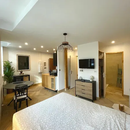 Superbe T1 Centre Apartment *
