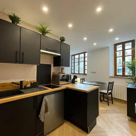 Apartment Superbe T1 Centre Dijon